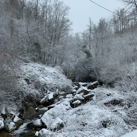 Pensjonat San Martino Vald'afra Sansepolcro